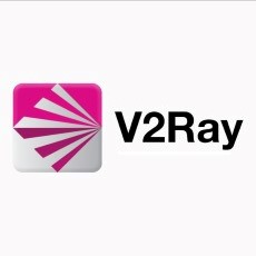 2025最新 V2Ray 教程：节点搭建、配置与连接