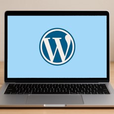 How to Install WordPress locally using XAMPP